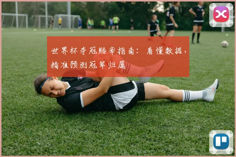 世界杯夺冠赔率指南:看懂数据,精准预测冠军归属
